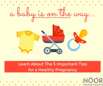 5 Important Tips for a Healthy Pregnancy