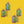 Adult and Children Multivitamin Gummy Bundle
