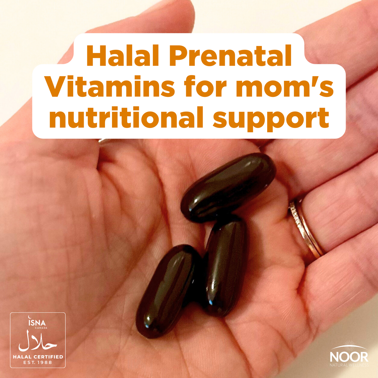 Prenatal Vitamins with DHA & Ginger Extract Noor Vitamins Halal