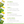 Daily Nutrition Bundle